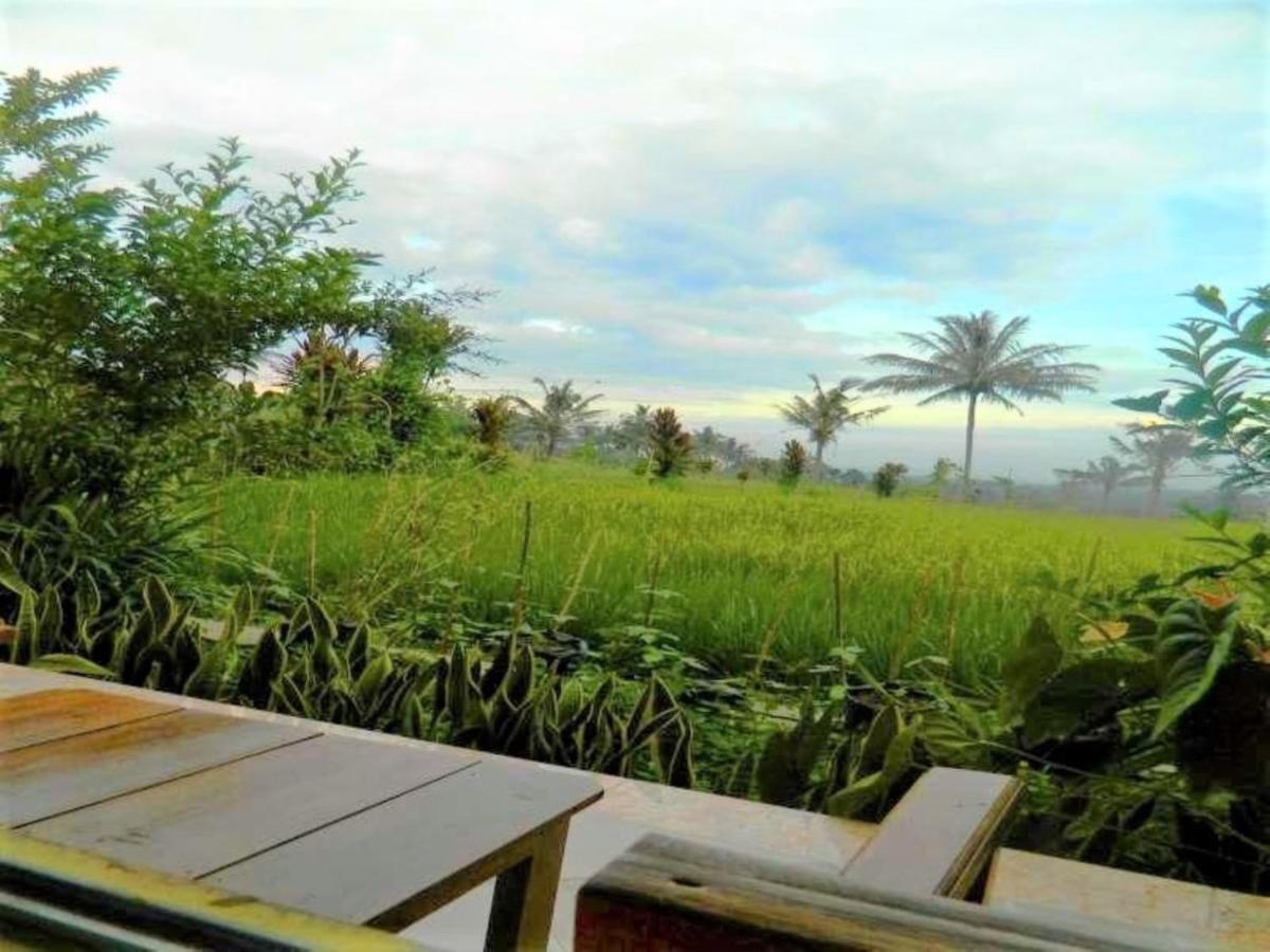 Fida Ijen Crater Guesthouse Licin Eksteriør bilde